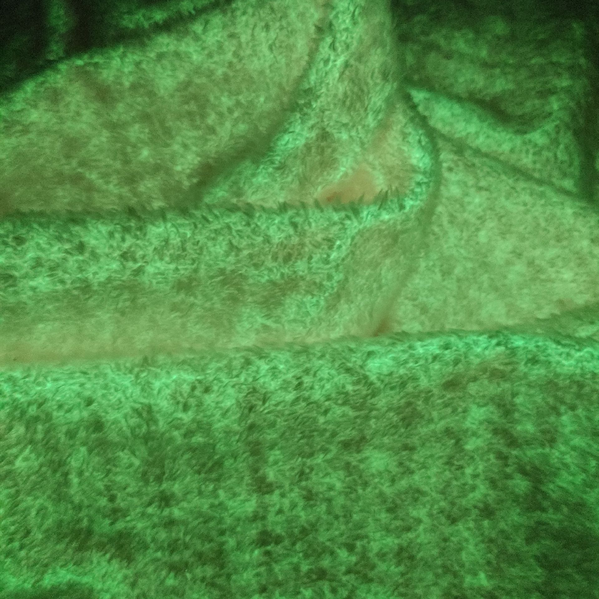 厂家夜光大珍珠植绒布夜光布感光变色感温水晶超柔环保柔软暖绒