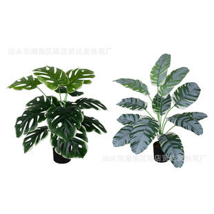 80-90CM�߷����Gֲ���� �҃ȿ͏dɢβ���辰��ؔ[�����˽�����