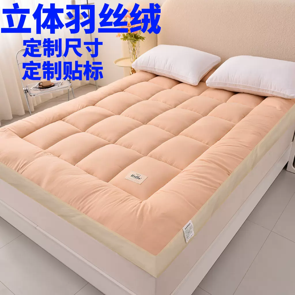 跨境定制床垫3D立体羽丝绒软垫家用学生宿舍柔软舒适床褥床垫定制