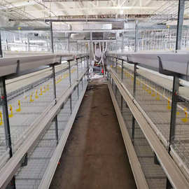 框架多层蛋鸡笼大鹏养鸡设备小层叠笼自动清粪热镀锌鸡笼鸡用机械