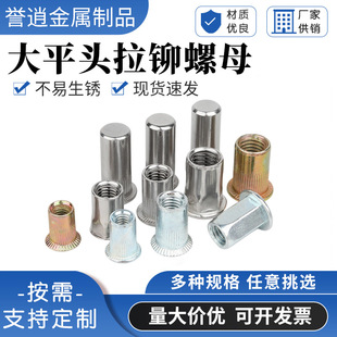 304���P䓴�ƽ�^�Q�y���T��ĸ��ñ��ĸ�L����ĸƽ�^�Q�y���T��ĸ