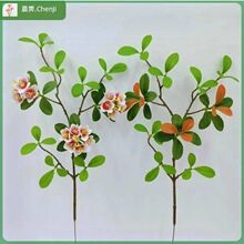 ���溣�u�����Gֲins�L�W�t���޼ҾӾƵ��c�b������Ĕz�[��