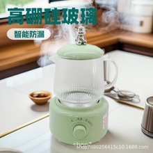 先科电炖杯养生壶小型办公室一人多功能花茶壶养生电炖杯礼品福利