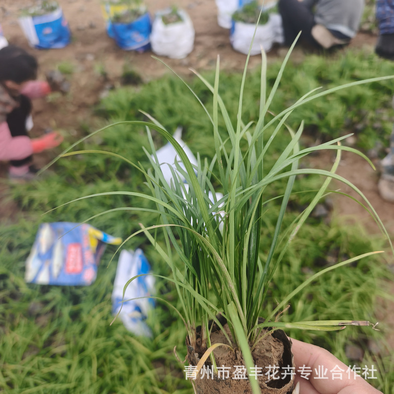 微信图片_20241119151044