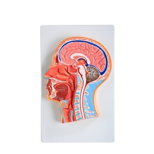 �^������ʸ������ģ�� �^�B�Xģ�� �^������ģ�� �t�W�̌W�þ�