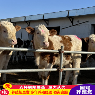 ���T����ţţ�� ������ţ�� �����Sţţ�� ɽ���Bţ��