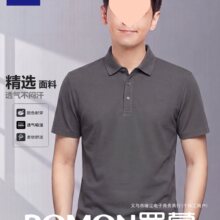 �_��POLO������t����ʿ2026�ļ�������伃ɫ�̄��w�����I������