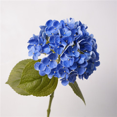 High-quality simulation hydrangea western film hydrangea hand feeling moisturizing single stem dining table decoration artificial flower bouquet photography prop