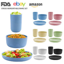 跨境亚马逊塑料盘碗杯套装高颜值耐摔野餐家用餐具可微波炉加热