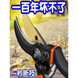 ����ˇ䓴�֦����݆ʡ����֦�����@ˇ�޻�ľ����޽ӈ@�ּ�����