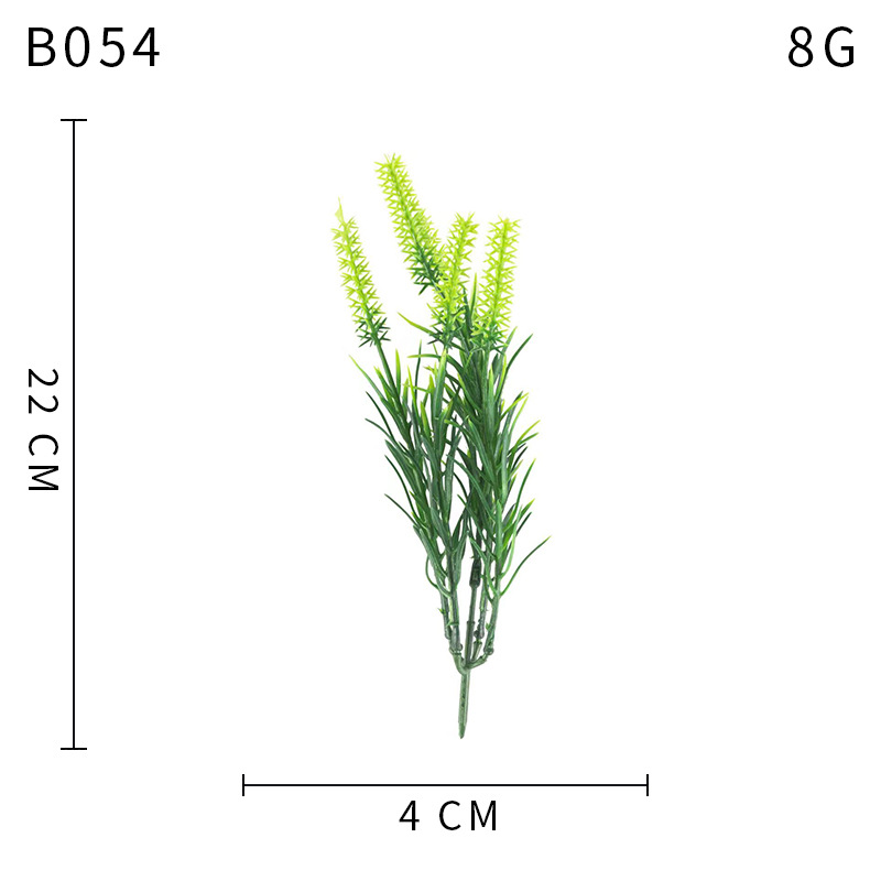 B054 라벤더