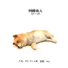 127-1529 Side Sleeping Shiba Inu