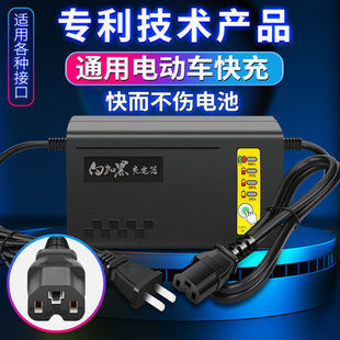 Jiangke Electric Vehicle Charger/White and Black Fast Charger, Dedicated for Lead-Acid and Graphene Battery Packs