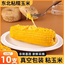 �|���SŴ���װ�10֧��؛����b�S���׬Fժ���r��������ճ�ּZ����