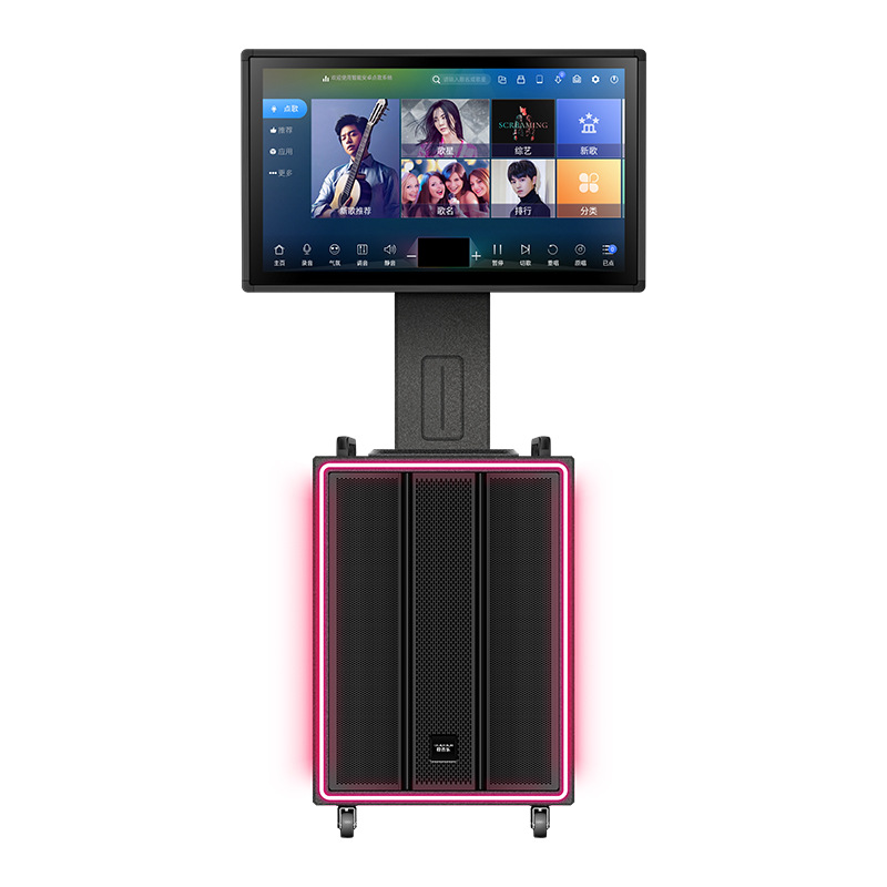 Opole Karaoke Speaker All-In-One Mobile Speaker Video Amplifier with Microphone Karaoke Machine High Sound Quality