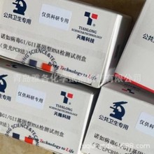 P050 �Z�粡��GI/GII������RNA�z�yԇ���� ��¡ 25T/��