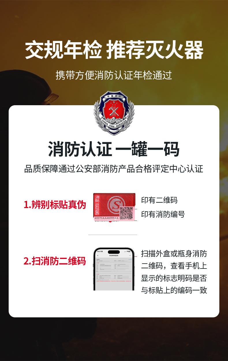 Portable Vehicle-Mounted Water-Based Fire Extinguisher for Car Annual Inspection, Vehicle Fire Equipment, Vehicle Water-Based Fire Extinguisher 13B