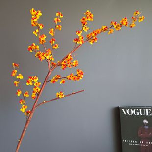 ���滨�z֦�����ѩ������ݮ���D÷���ҾӘӰ��g�Ƶ��c�b����l