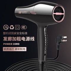 廠家批發吹風機家用髮廊大功率藍光離子冷熱電吹風筒代發禮品