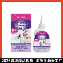 �羳JUEFISH�۝n���z�m��춼�ͥ��Ҋ�����۝n���坍��������
