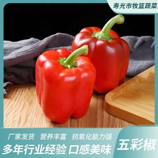 ���r�ʽ������𽷈A����ʽ����ӽ��t���S��ˮ����̫�ս������rʳ