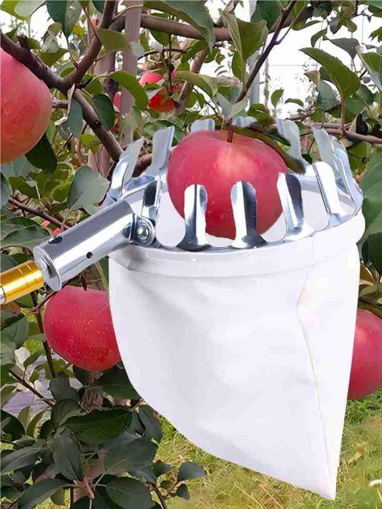 柿子采摘核桃摘水果树上高空柿子采摘不锈钢摘果器伸缩杆芒果