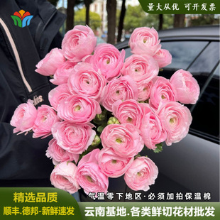 ������ĵ���Ӄșѻ����r�����ֱ���r�л��̳��Fُ�����\����ĵ��