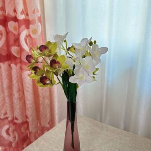 ���滨3D��ӡ�ָ�����12�^ޥ�m�Ҿӻ�c�bٻ� �S��ֱ��