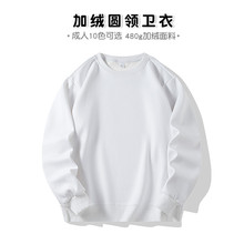 冬季新品男女时尚纯色情侣卫衣成人加绒加厚罗纹圆领打底个性印图