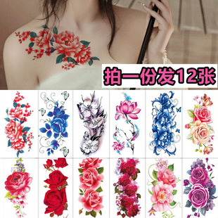 Ψ������y���N��ˮŮ�־�õ��ĵ�����ܼ���ֱ۹��L��ˇ���Ě��|