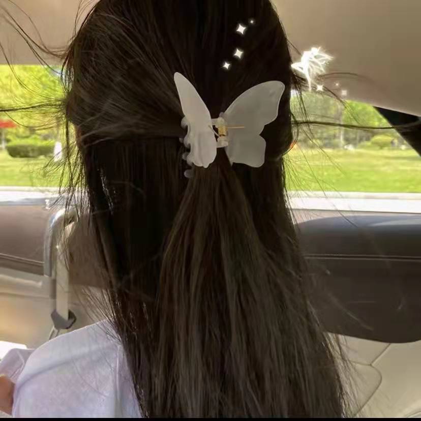 47652525b8813f08ddb6a86e6f11a6