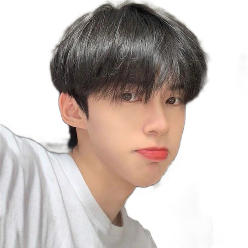Wig men's short hair Korean style handsome men's short straight hair with bangs students fluffy daily full headgear manufacturer wholesale