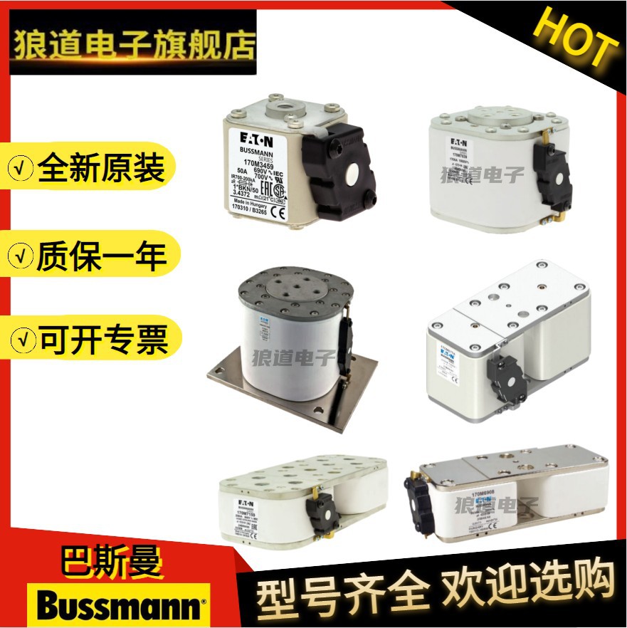 巴斯曼熔断器170M1802 170M1803 170M1804 170M1805 1806原装正品