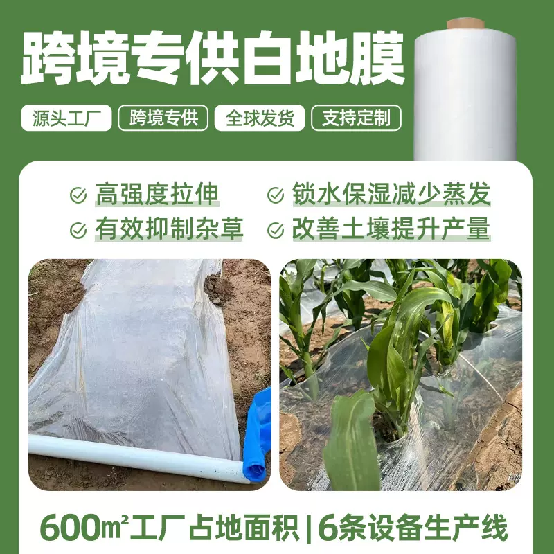 白色地膜 透明地膜防水保温保湿种菜农用蔬菜大棚PE塑料薄膜地膜