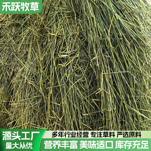 2025����ص��R����  ţ���R�R�g�㘷������@�òݾGɫ����