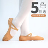 Adult Children's Dance Shoes Female Soft -bottomed Practice Shoes Cat Claw Shoes Dance Shoes Ballet Dance Woods Dance Shoes