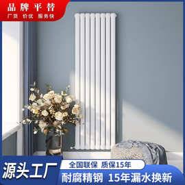 钢制暖气片家用水暖散热器壁挂集中供暖挂墙式卫生间暖气