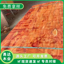 ľģ�彨�B��ľо��Ĥ��ľģ���z�ϰ���Ӱ���о��ȩ�z��С�t��