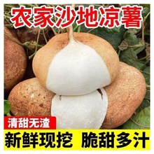 ���r����9��V��ˮ�������ش�����}��1/3/5���F��ɳ�ظ����׵ع�