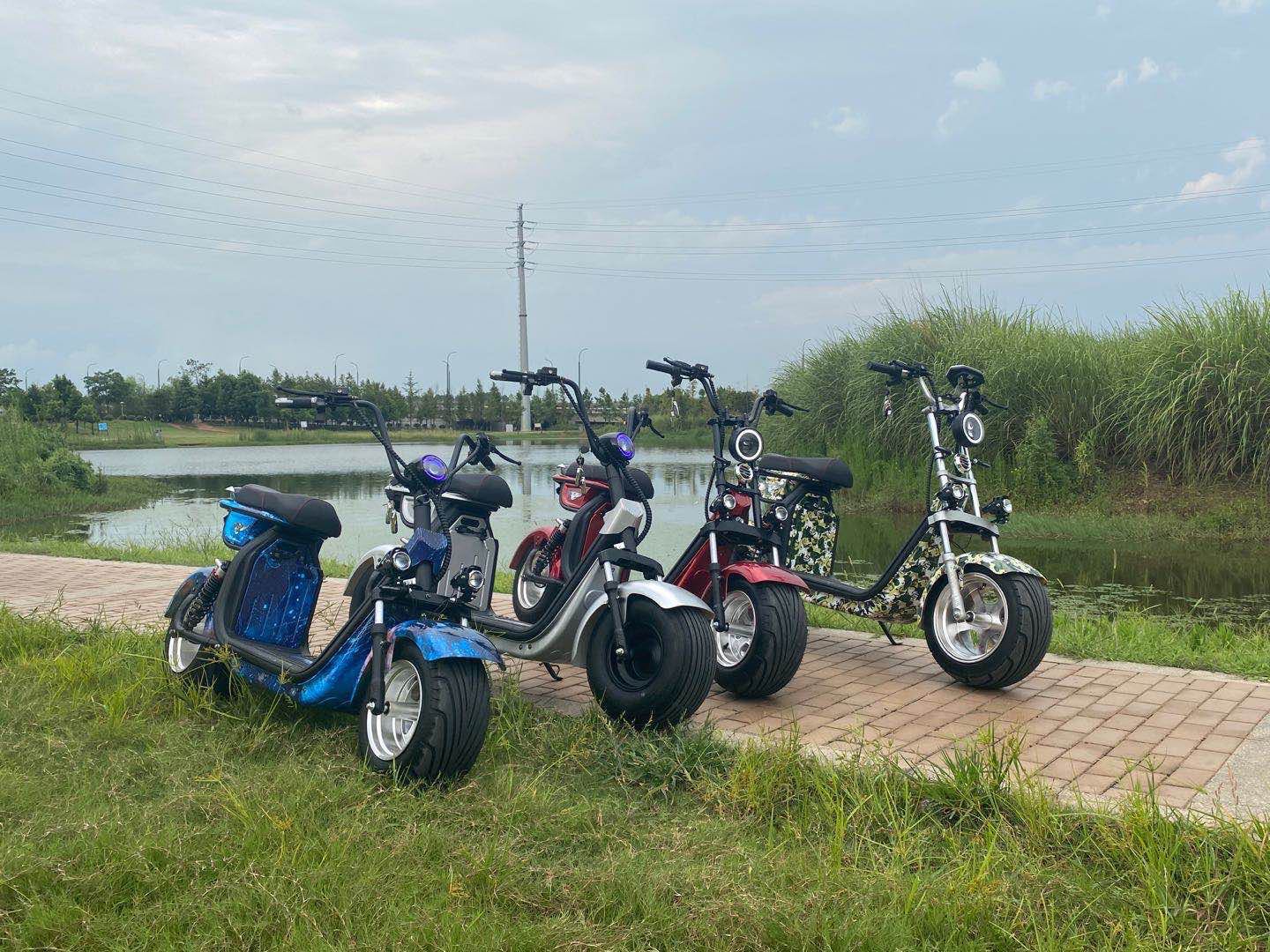 Puhale New Harley Electric Motorcycle Women's Adult Scooter Lithium Battery Battery Car Double Person