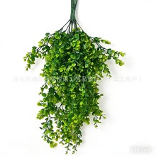 �����ٗl�ȼ����ڒ�Gֲ�Ҿӑ��⻨�ّҒ��پ�ֲ��羳�����ٗl