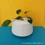 涡流环保纺织粘胶粘胶纱