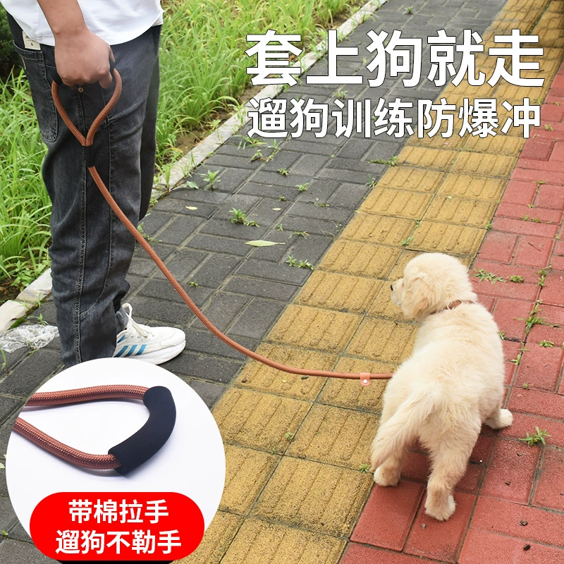 Собачья веревка дрессировка собачья цепь среднего размера собачья веревка большая собака лабрадор взрывозащищенная собачья веревка