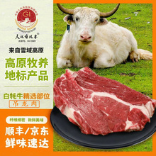 �ָ����ף����ţ������4���ຣ���ػ�������䶳���Ҵ���������