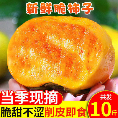 新鲜脆柿甜柿水果当季巧克力无核直接吃硬柿子2510斤整箱批发|ru