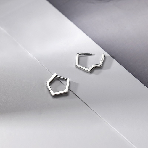 Earrings for women summer  new trendy earrings design niche simple and versatile temperament earrings earrings silver earrings