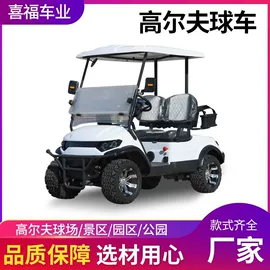 电动观光车;其他电动车