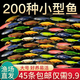�Ꭷ�^�p�~�t�{�������R�~С�͵�ˮ�~�ɹ���R�~��ˮ�~�~���B