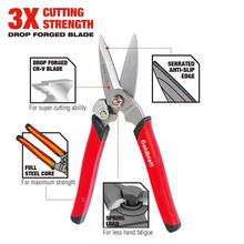 ����Goldblatt�๦��呴����늹��������FƤ��Ƥ���̺�����ۼ�