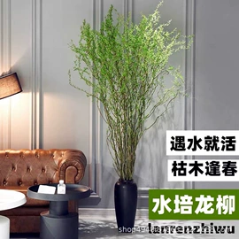 其他小宠用品;仓鼠玩具;木质工艺品